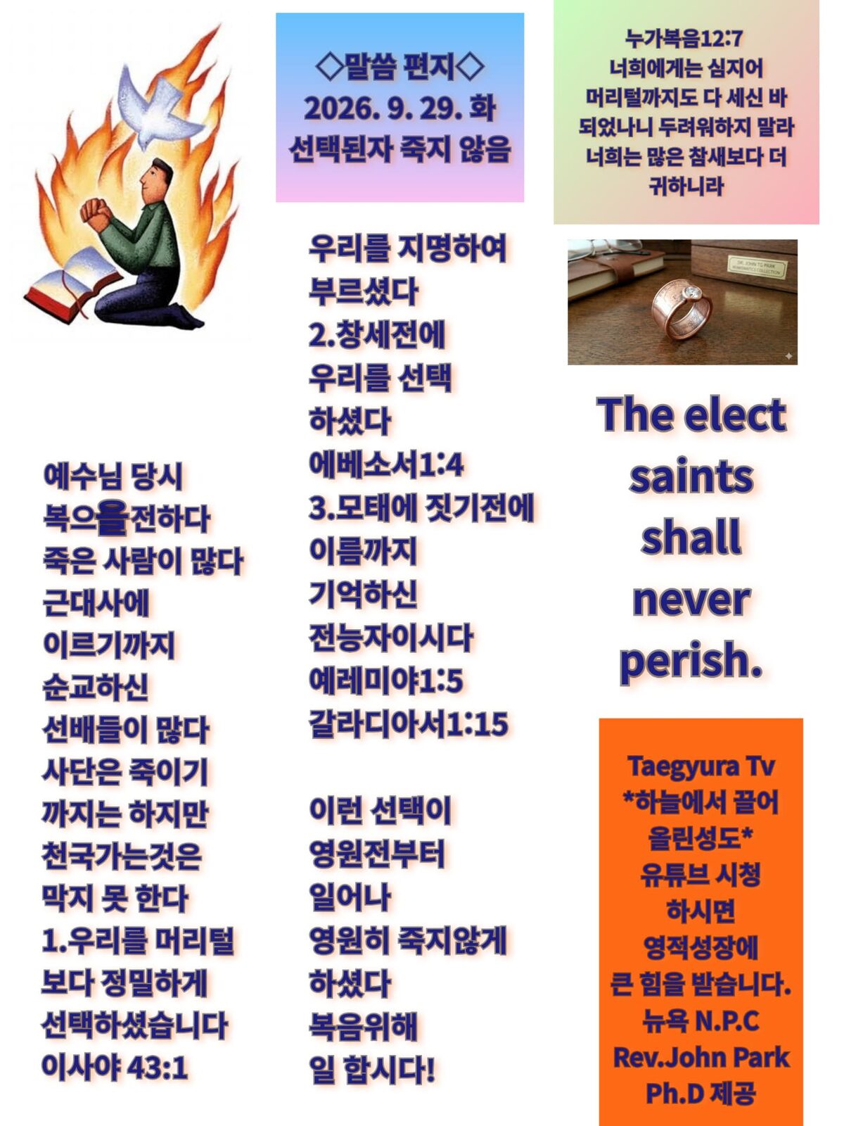 선택된자 죽지 않음