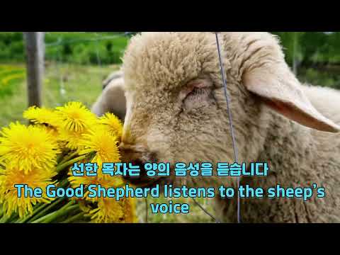 7 15 26 요한복음 속에 사는 성도